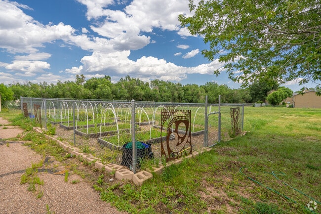 Midland Elementary School has a garden for students.