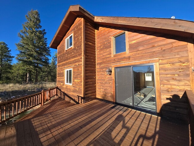 11 Sun Way, Bailey, CO 80421 - photo 4