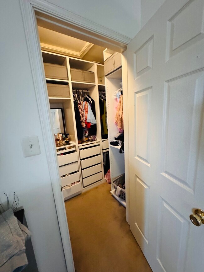 14789 Truitt Farm Dr, Centreville, VA 20120 - photo 5