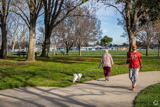 Stoneridge's Val Vista Park is dog friendly.