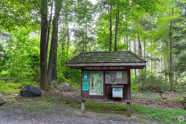 Carolin's Grove Preserve: Pound Ridge's lush sanctuary of nature.