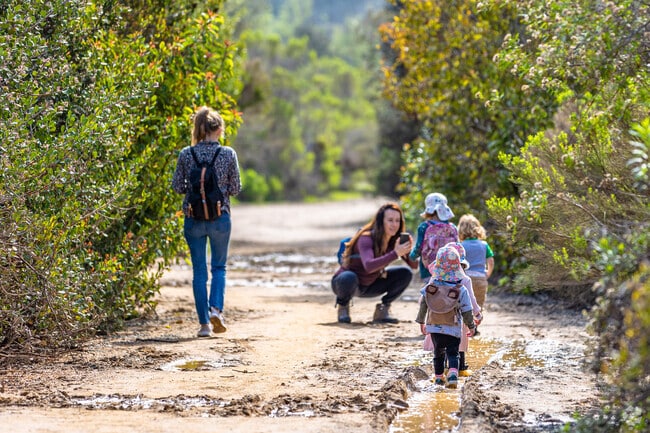 Tecolote Canyon offers easy hikes for all ages near Bay Park.