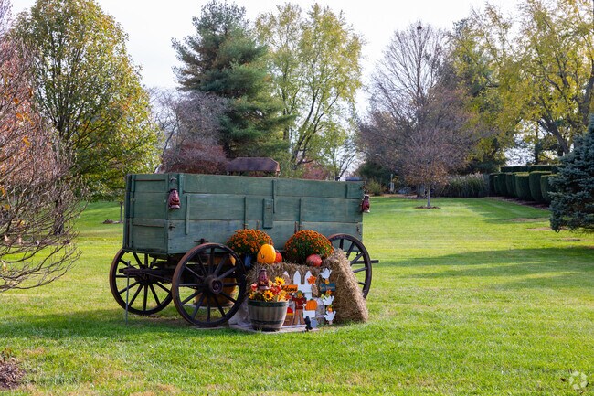 Outskirts of Harrison feature roomy backyards with a country feel.