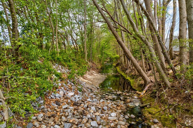 Creek outside Fairfield Park in Fairfield neighborhood of Kempsville section of Virginia Beach