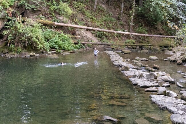 Children love to swim in the pool below the waterfall at Whatcom Falls Park.