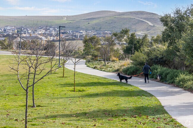 Schaefer Ranch Park is a great place to bring dogs for a walk.