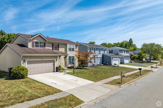 The neighborhood is occupied by a mix of older homeowners who raised their families there.