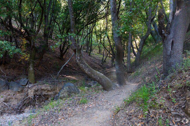 San Pedro mountain towers over Dominican and offers hiking and outdoor activities.