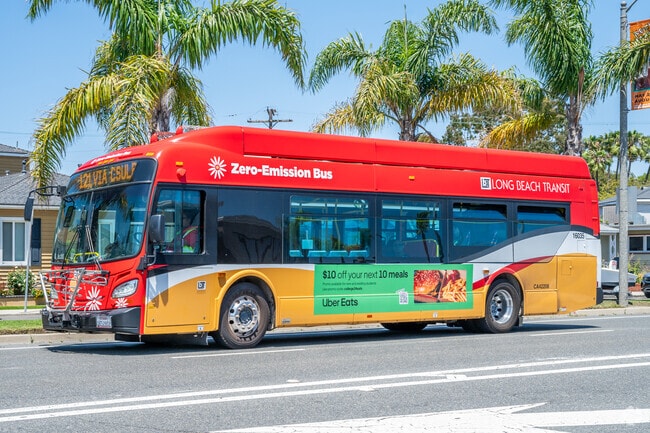 Naples residents can utilize the Long Beach Transit to take them where they need to go.