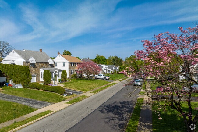 A view down a street of homes in Delaware County's Morton neighborhood
