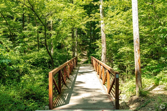 Pine Quarry Park near Taylor Ridge is perfect for shaded nature walks.