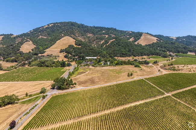 The valley is a cool-climate region known for premium Merlot, Syrah, Pinot & Chardonnay.
