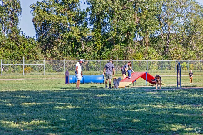 Take the family and pups out for a playdate at Bark Park in Georgetown, TX.