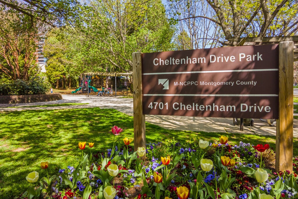 About Downtown Bethesda Schools, Demographics, Things to Do