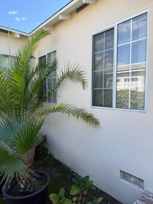 5618 Riverton Ave unit Center Unit, North Hollywood, CA 91601 - photo 6