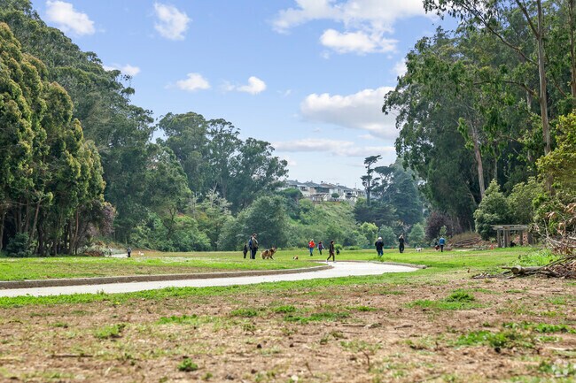 Runners and walking dogs provide a pleasant backdrop in Pine Lake Park.