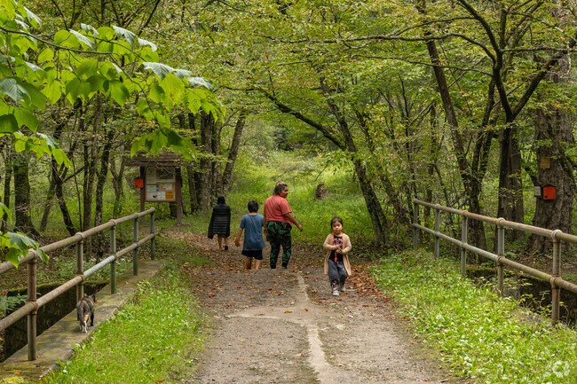 Sundown Wild Forest has several spaces for families to campout.