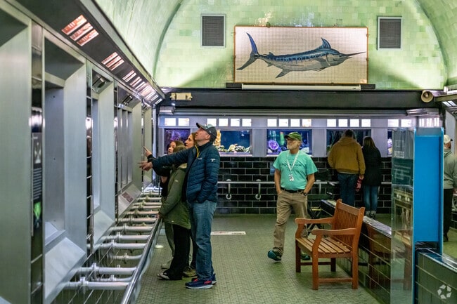 Bring the kids to the famous Belle Isle Aquarium when the weather turns bad.