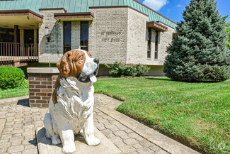 Saint Bernard