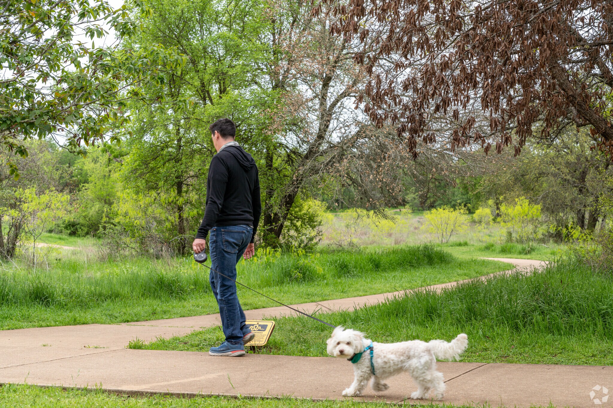 There are plenty of paved walking trails available in the Shady Hollow West Nature Preserve.