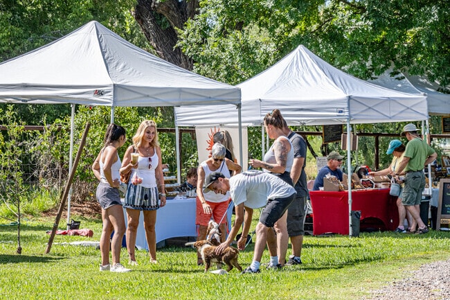Furry friends are always welcome to the Windmill Park Farmer's Market in Cornville.