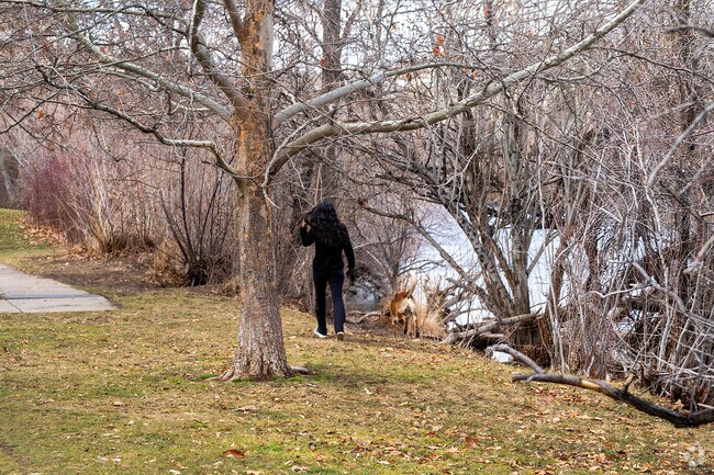 Locals in Mayberry relish the combination of manicured grass and river access for their dogs.