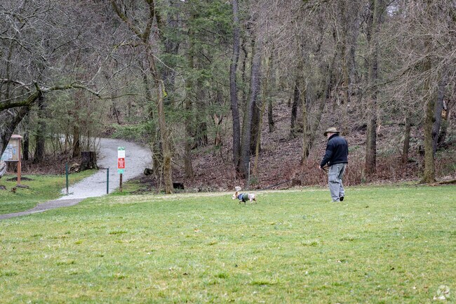 Residents enjoy walking their dogs at the Park.