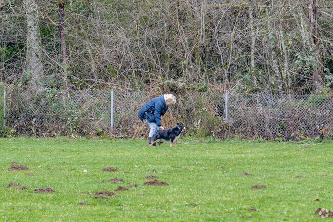 Take your dog for a walk around the baseball field at Lake Francis Park in Cedar Grove.