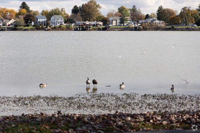 There is plenty of wildlife along the Ottawa River in Shoreland.