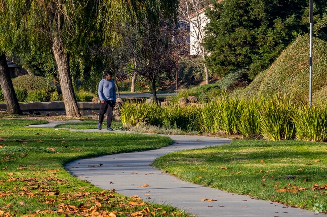 Chaboya is a clean neighborhood to live in.