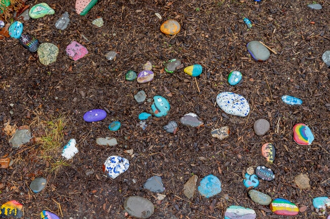Painted rocks sit at the entrance of Ralph Talbot Primary School in Weymouth.