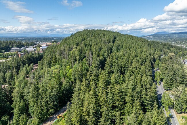 The Sehome Arboretum is a popular spot for Bellingham locals to go for a nature walk.