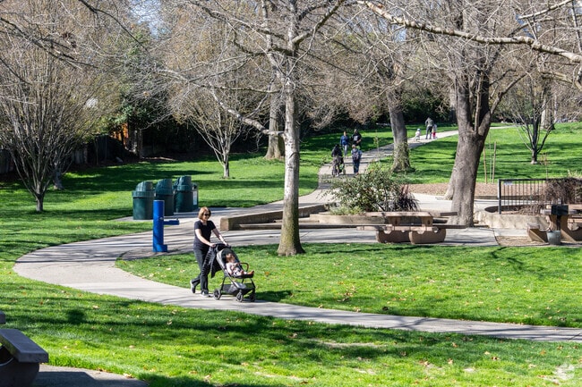 Larkey Park in the Buena Vista area offers beautiful green space and trails.