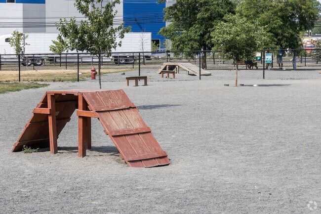 Obstacles are laid out for South Plainfield's dog owners to play with their pets at Southside Dog Park.