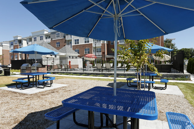 Picnic Area
