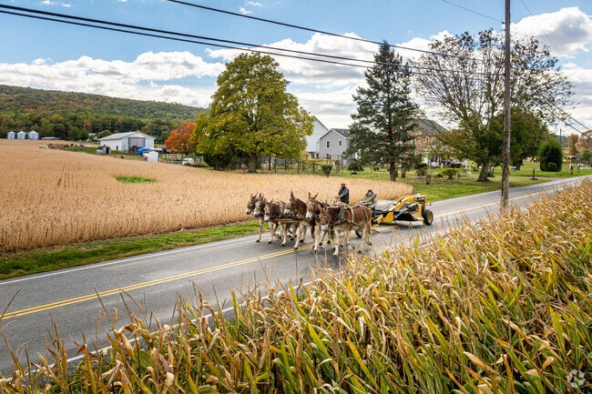 Millcreek is deep in the heart of Amish Country where horses provide much of the labor.