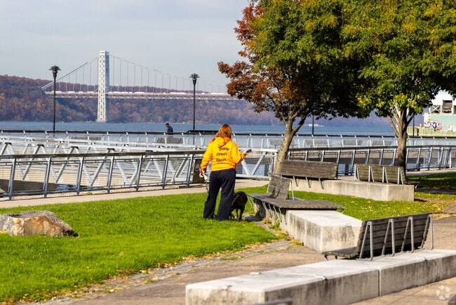 Take your four legged friend for a walk with a gorgeous view at West Harlem Piers.