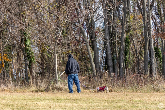 Mount Olivet and Phelps Lane Park is a favorite of Carroll-South Hilton pet owners.