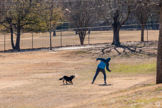 Phoenix Park in Summerhill is a great place to take the pup out for a game of fetch.