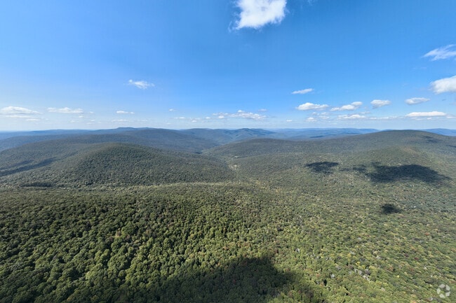 Phoenicia offers outstanding views of the Catskills mountains from atop it's many trails.