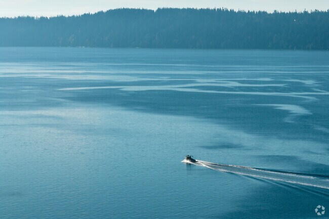 Spend the day boating on the Puget Sound in a kayak.