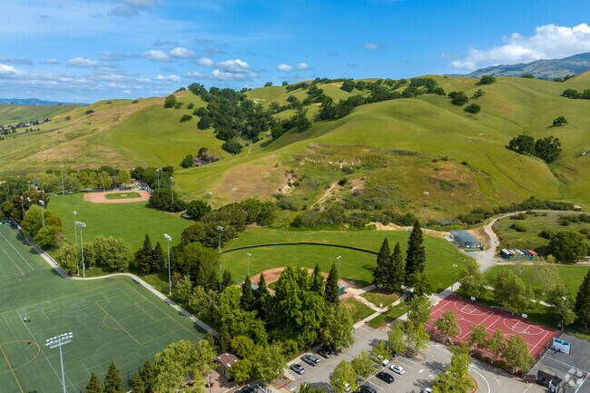 Sycamore Valley Park Is a Popular Destination for Residents of the Sycamore Valley Neighborhood and the Wider Danville Community.