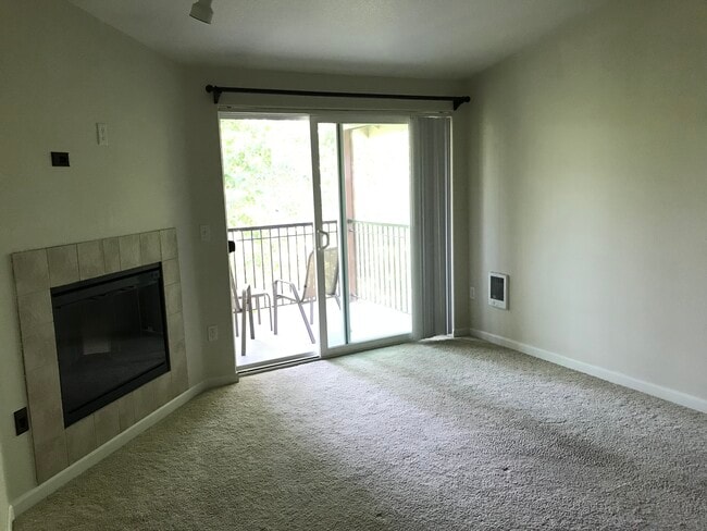Large living room
