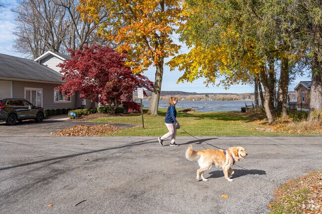 Jamestown West neighborhoods around Chautauqua Lake are great for walking the dog.