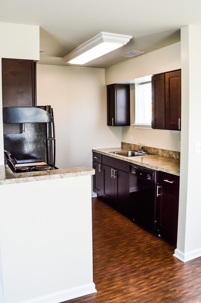 Stone Grove Crossing, Salisbury, MD 21801 - photo 6