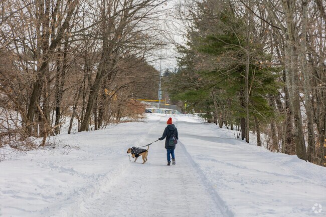 A resident of Derry takes her dog for a walk along the Derry Rail Trail, a nearly 4 mile long trail that winds through the town.