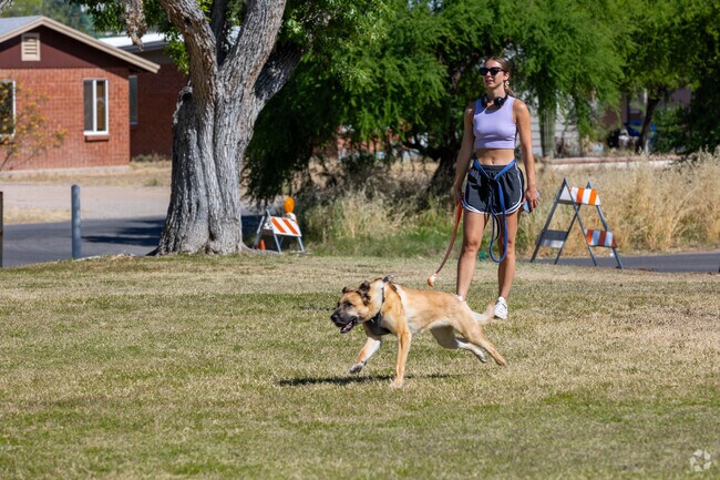 Alvernon Park is a great place to get exercise alongside your dog.