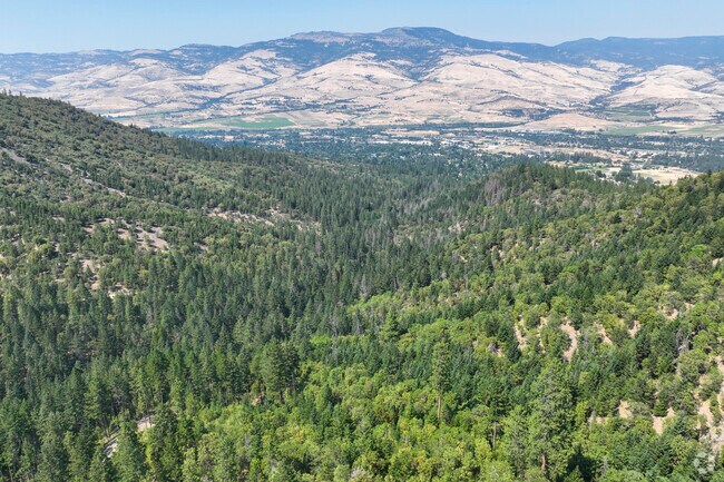 They're plenty of green forest all around the University District.
