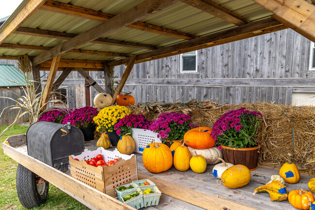 The Honesty Stand in Gamble offers a delightful selection of farm-fresh goods.