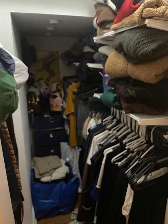 1025 N Wood St unit 1F, Chicago, IL 60622 - photo 7